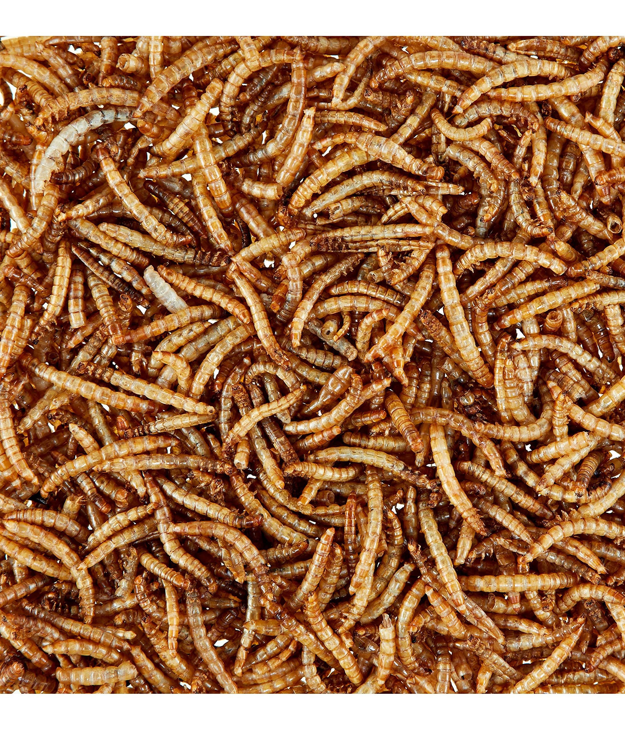 Dehner Lieblinge Mehlwürmer Wildvogelfutter 500g proteinreich