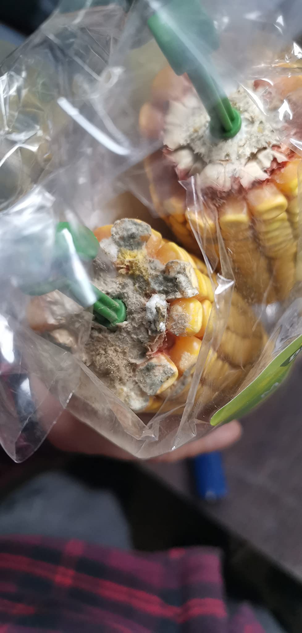 Dehner Lieblinge Maiskolben Nagersnack 7x200g naturbelassen