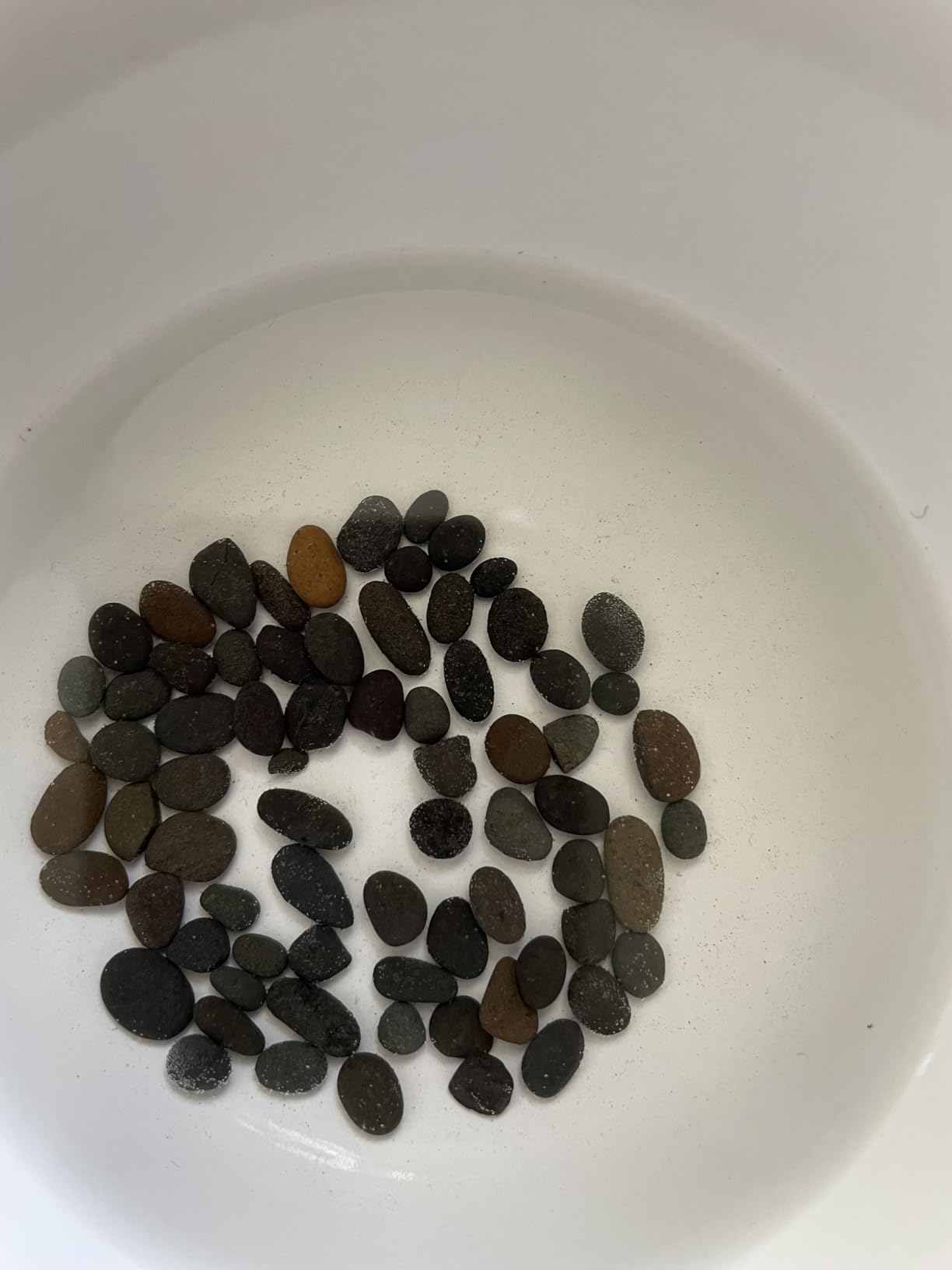 Dehner Aqua Antaro Black Aquarienkies schwarz 4-6 mm 5 kg