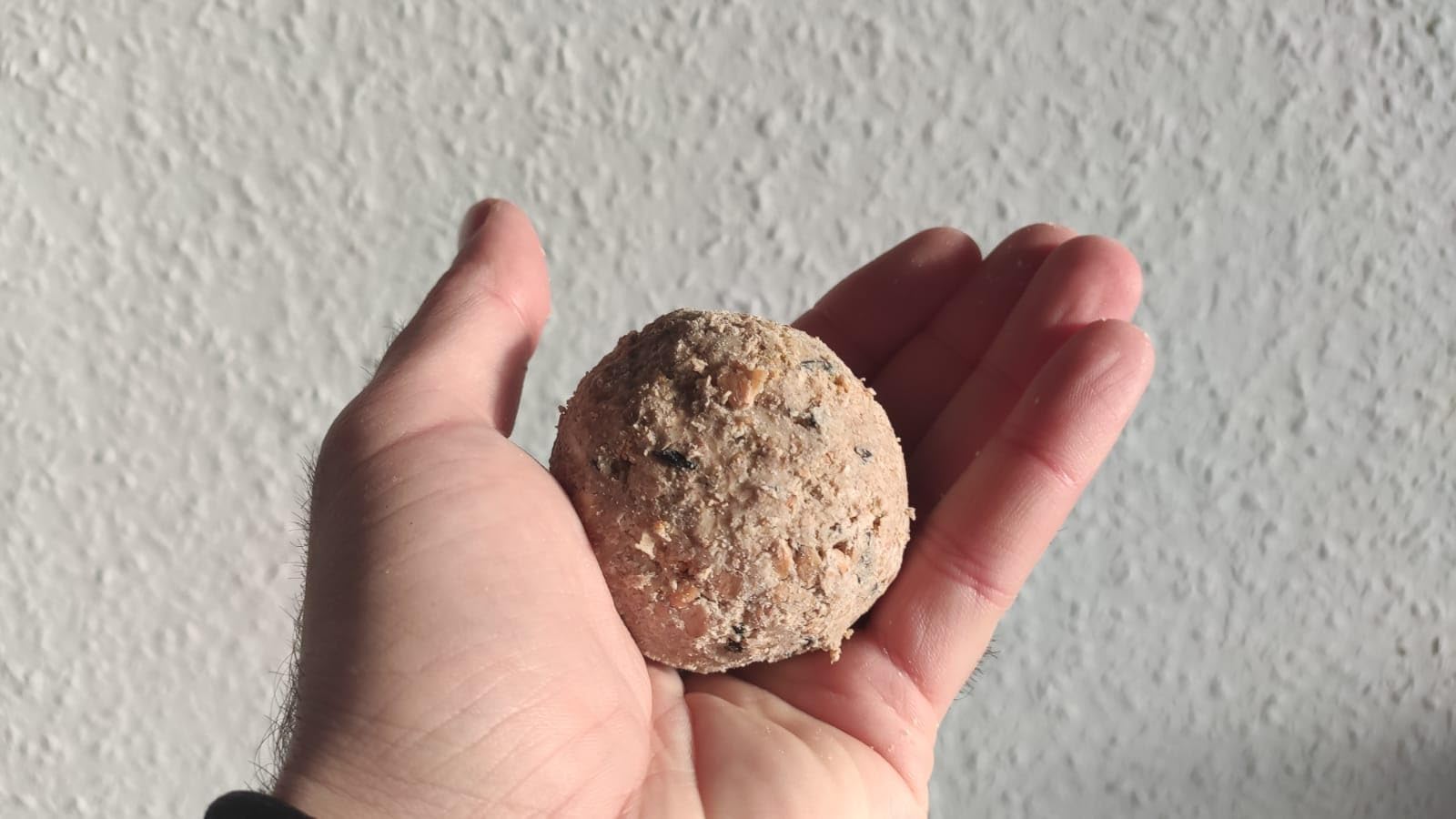 Dehner Natura Meisenknödel ohne Netz Insekten 100x90g proteinreich