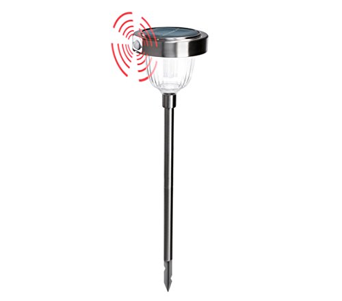 Dehner Asinara Solar-Steckleuchte Sensor silber 77 cm