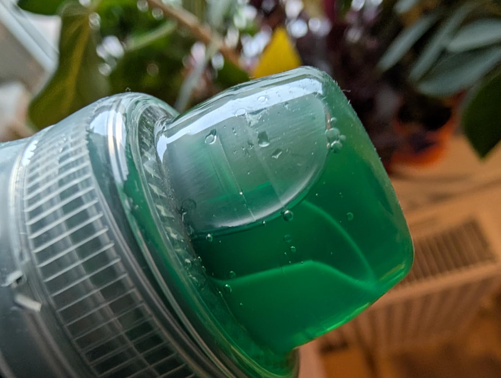 Dehner Blumendünger Guano Flüssigdünger 3 l NPK