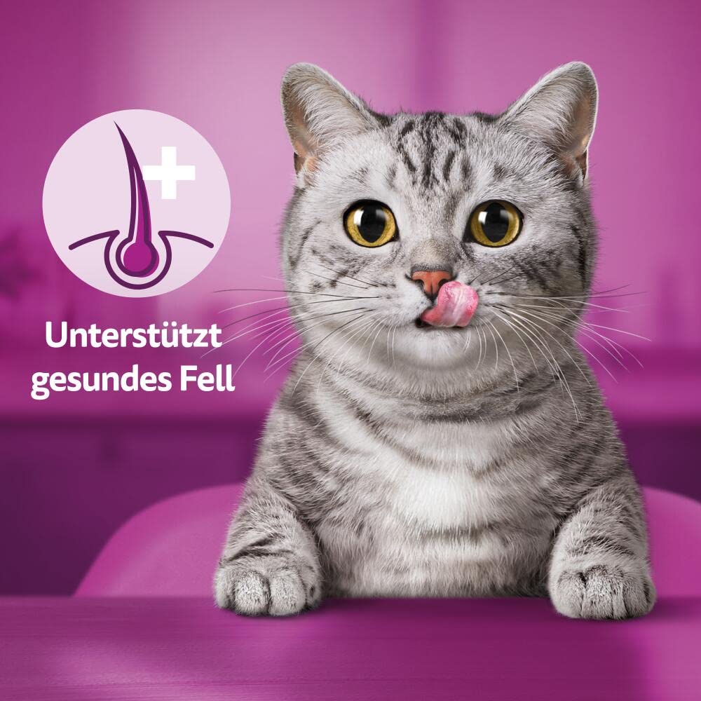 Whiskas Groom & Care Huhn Katzensnack 8x50g Haut Fell