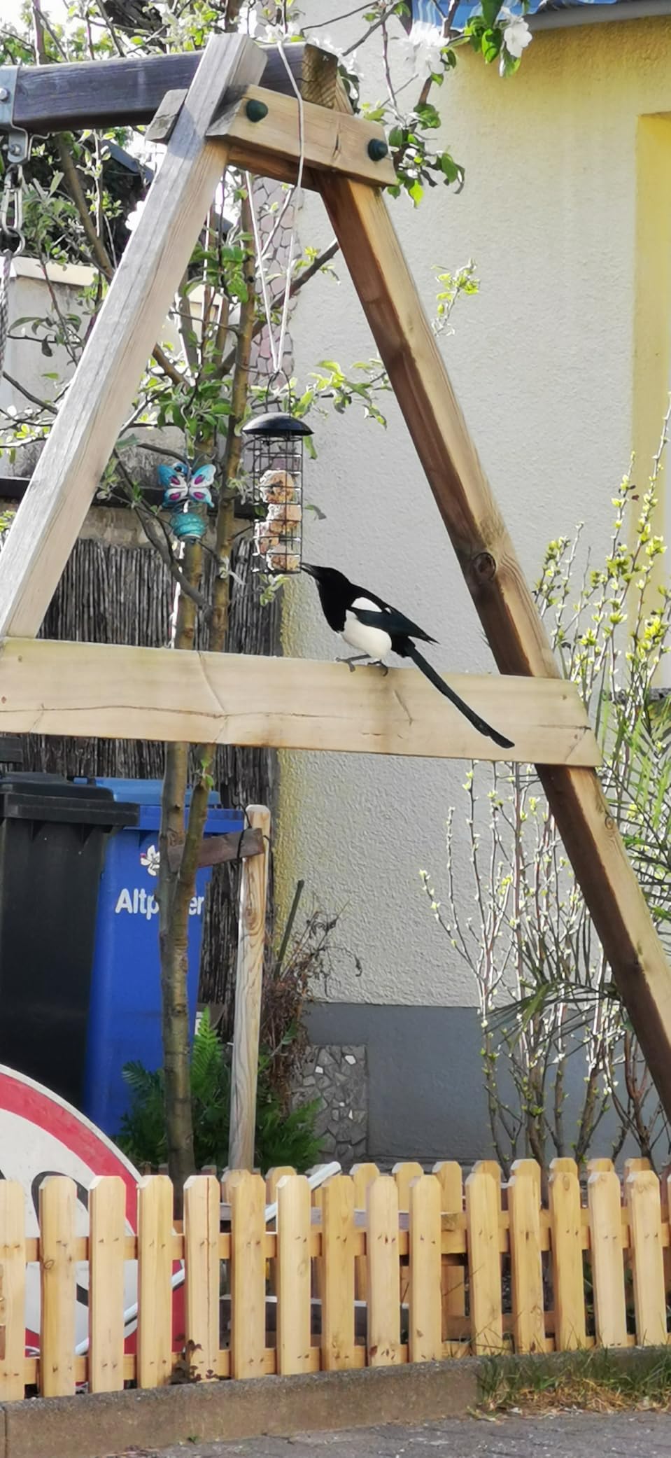 Dehner Natura Premium Wildvogel Futtersäule 4 Knödel fettreich