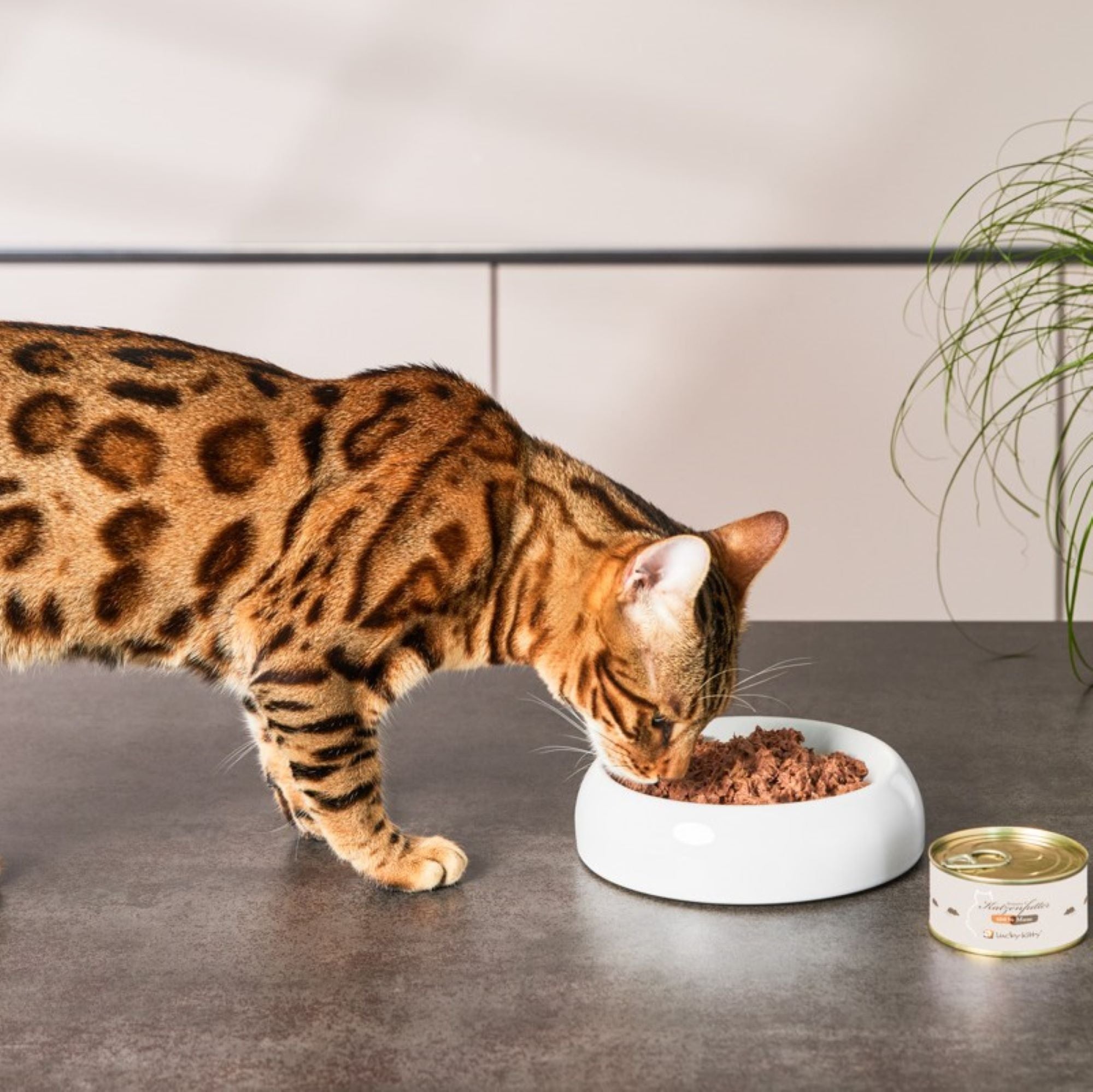 Lucky-Kitty Maus Pur Nassfutter Katze 100g getreidefrei Allergiker