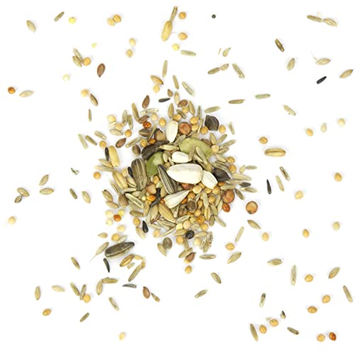Mr. Crumble Großsittich-Fit Großsittichfutter 2,5 kg Grassamen