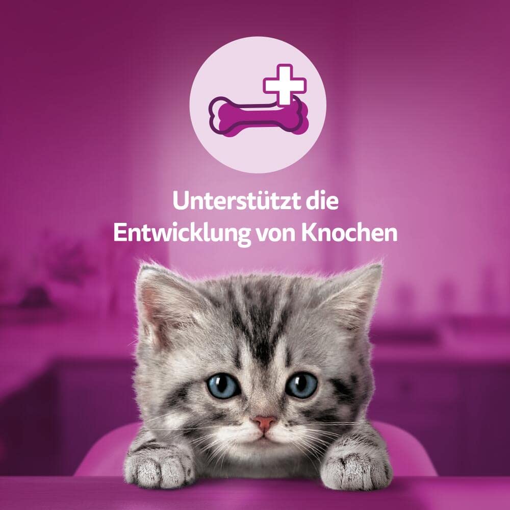 Whiskas Milch-Kätzchen Snack Junior 8x55g cremig-knusprig