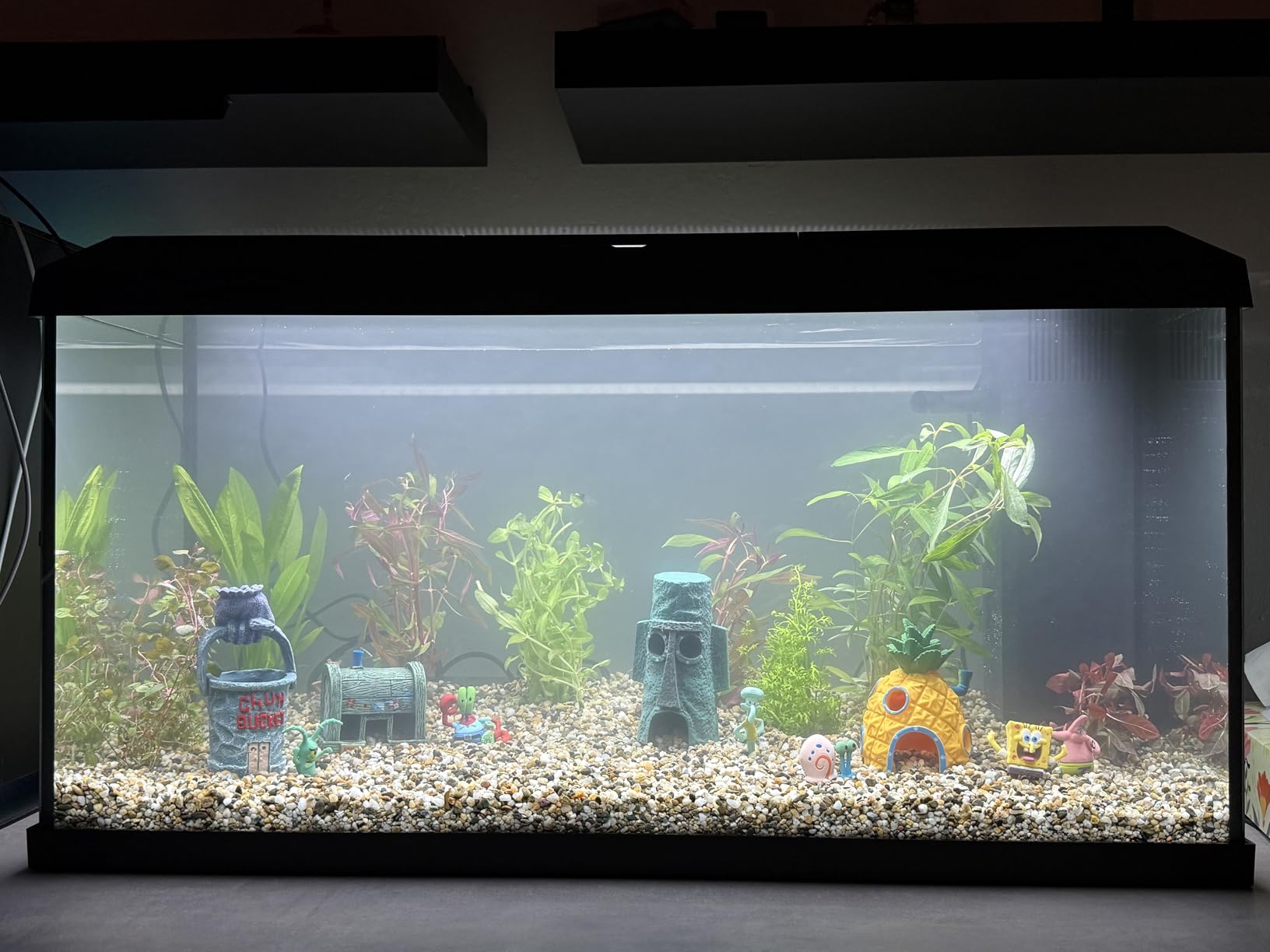 Dehner Aqua Start 80 Aquarium Starterset 110 L LED Komplett