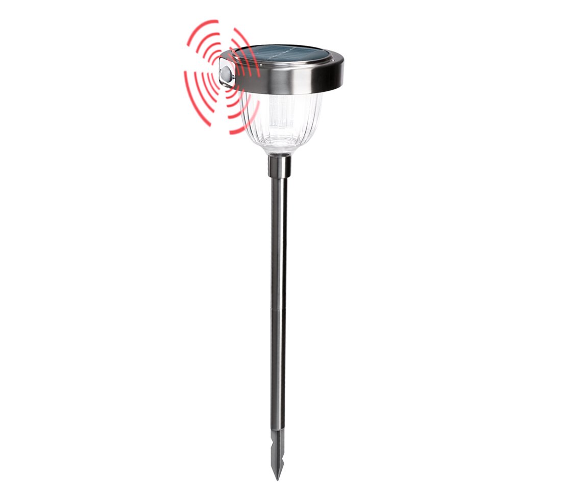 Dehner Asinara Solar-Steckleuchte Sensor silber 77 cm
