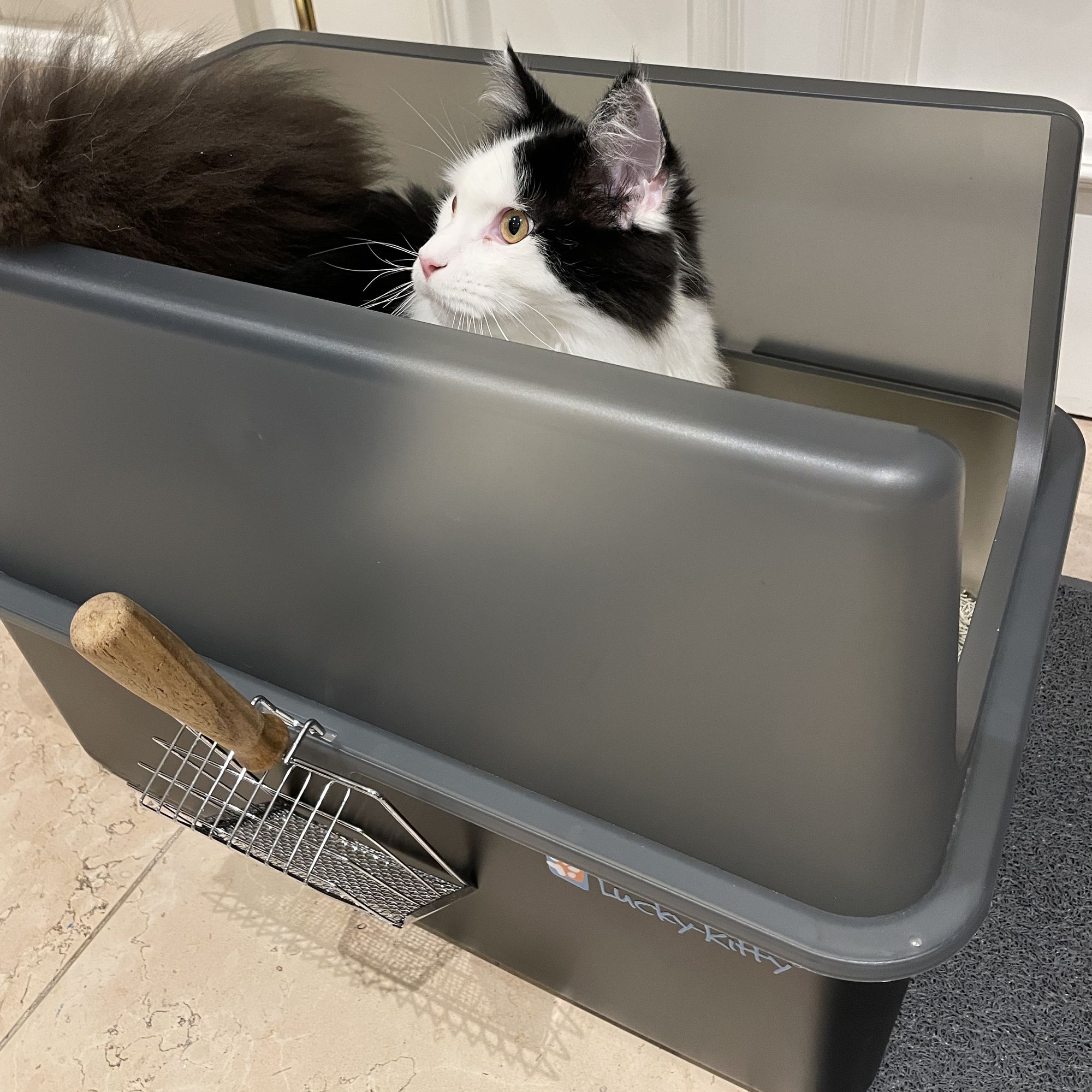 Lucky-Kitty Katzentoilette XXL Edelstahl mattiert 50L Antihaft