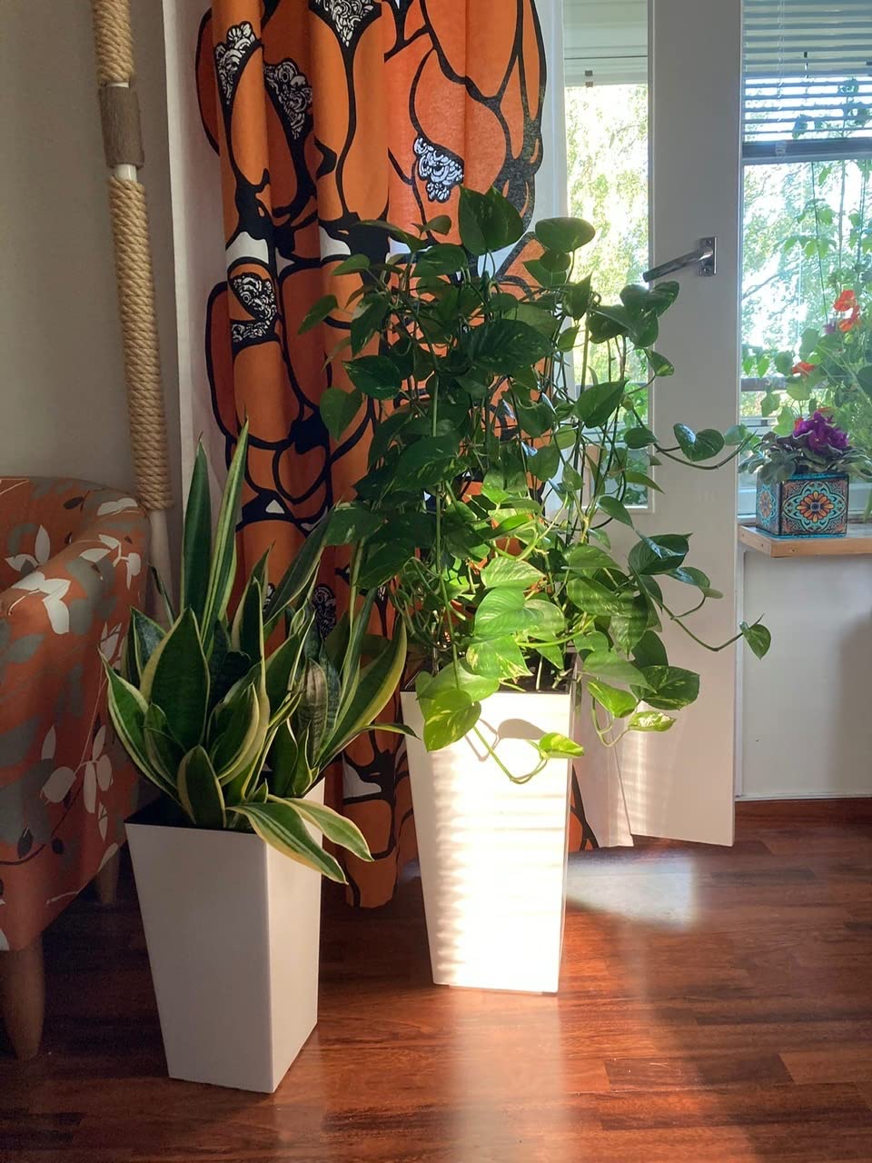 Dehner Elise Kunststofftopf weiß 47x25cm selbstbewässernd