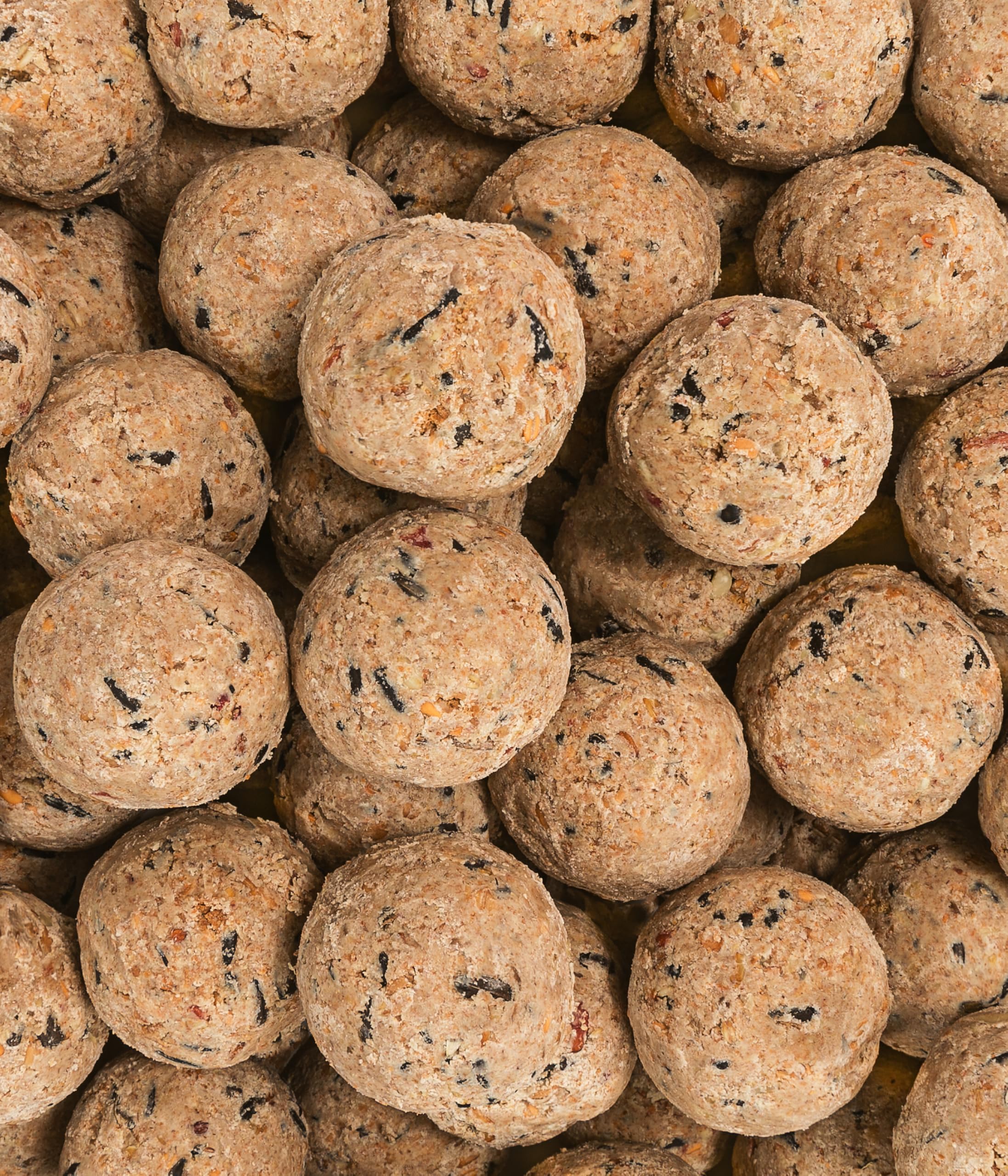 Dehner Natura Meisenknödel ohne Netz Insekten 100x90g proteinreich