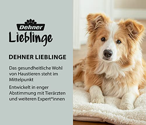 Dehner Lieblinge Dose Dolomit Leckerlidose Keramik weiß 20 cm