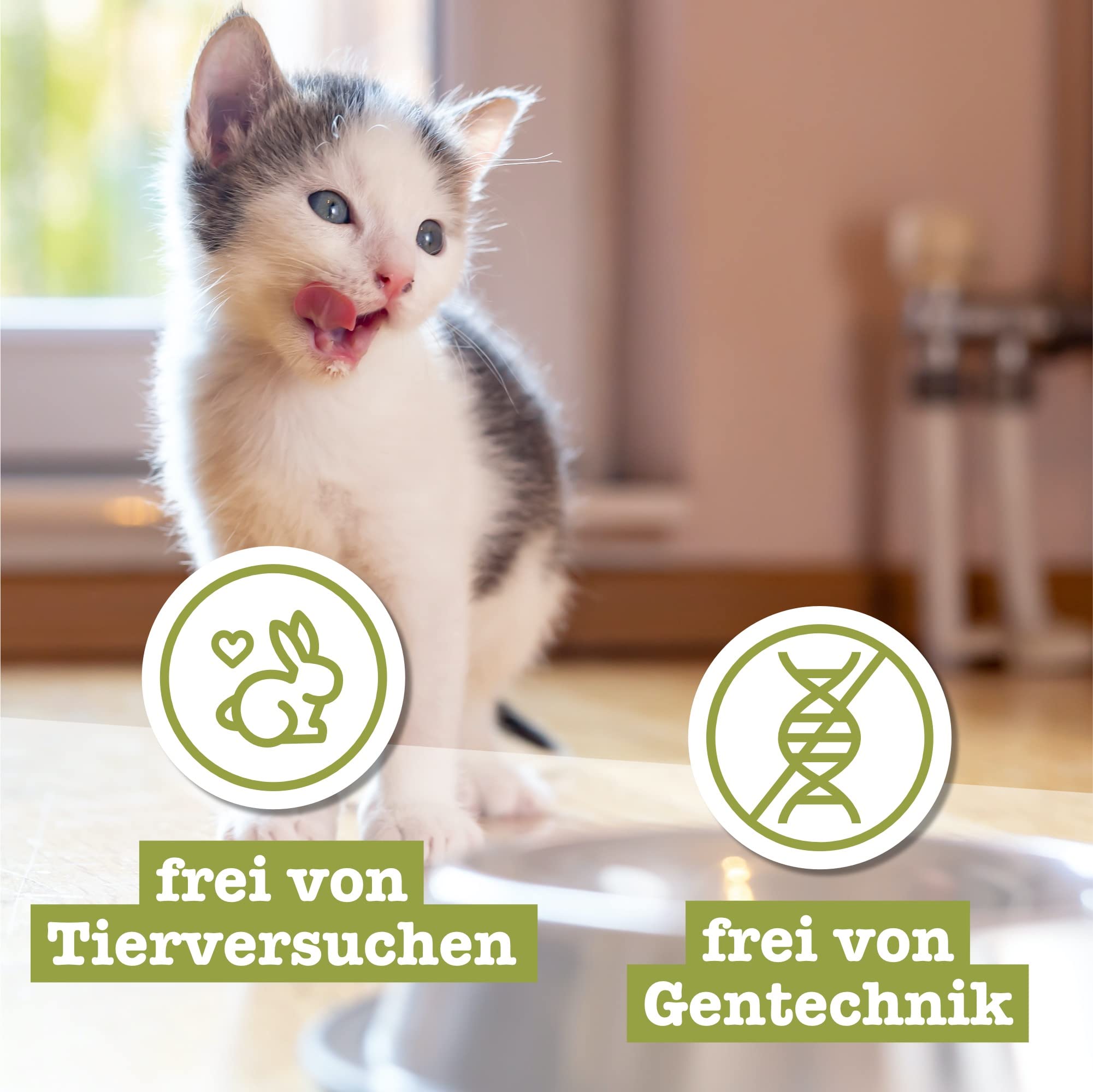 catz finefood Kitten No.5 Lachs Geflügel Nassfutter 16x85g