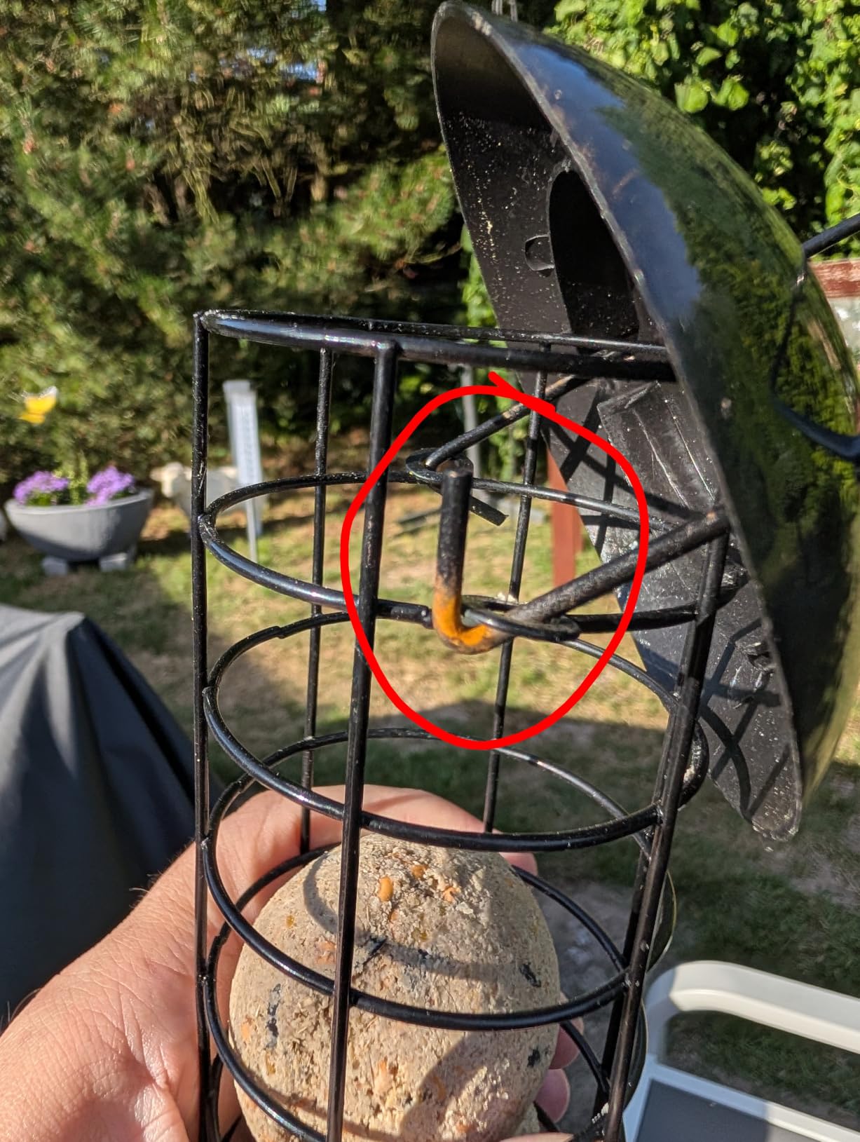 Dehner Natura Premium Wildvogel Futtersäule 4 Knödel fettreich