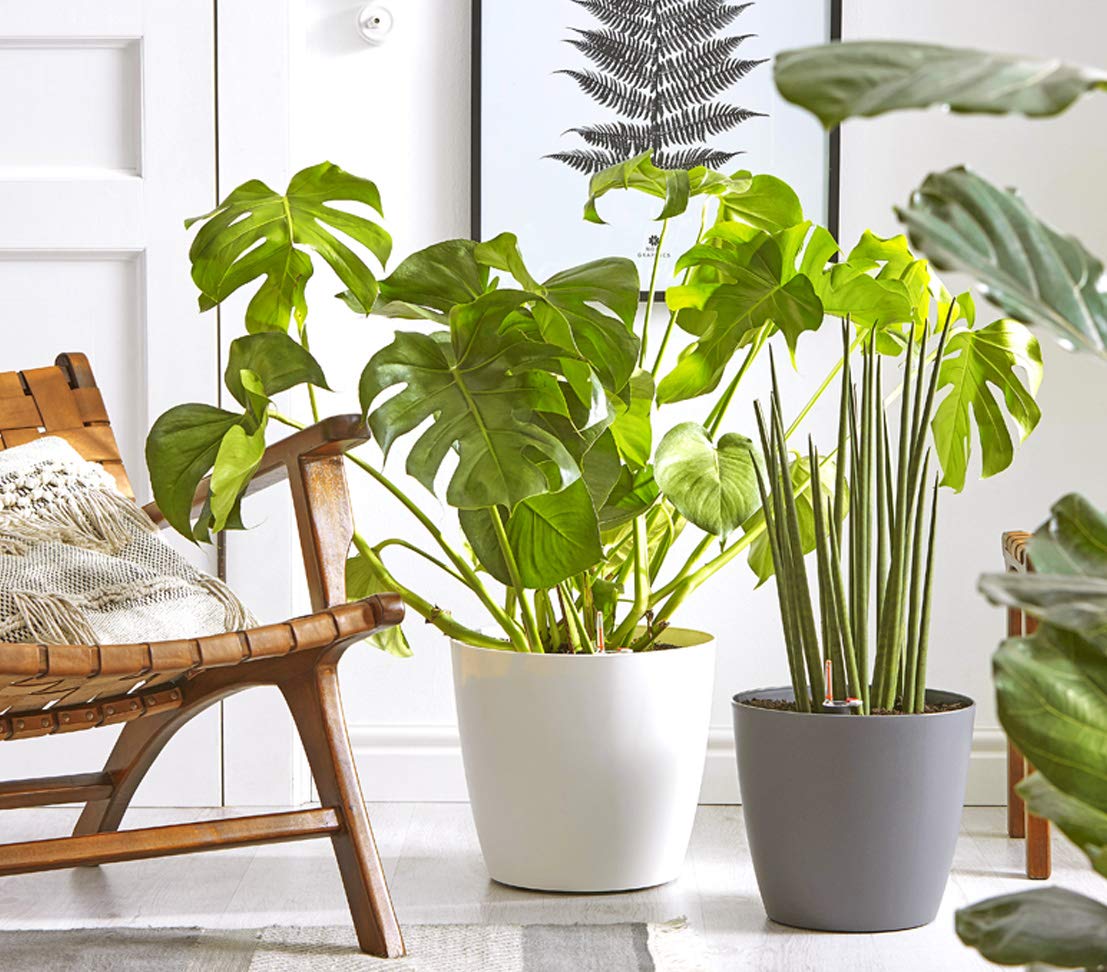 Dehner Pflanztopf Mila 39cm weiß Selbstbewässerung Rollen