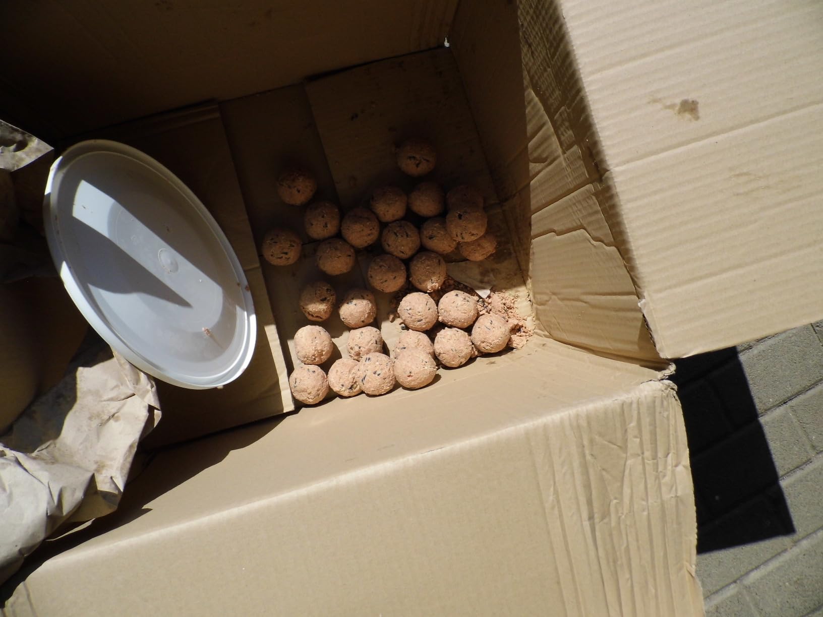 Dehner Natura Meisenknödel Beere ohne Netz 100x90g Eimer