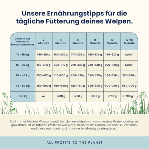 Almo Nature Puppy M-L Trockenfutter Huhn 12kg für Welpen