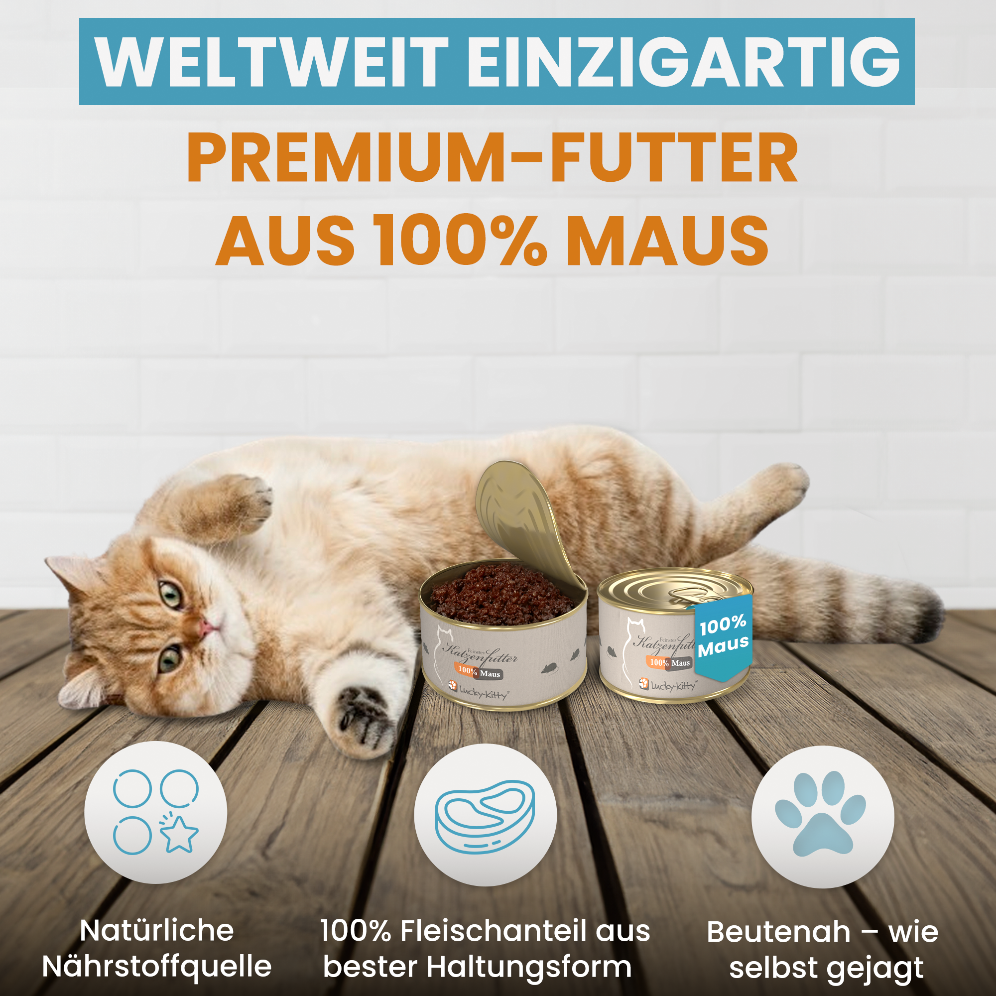 Lucky-Kitty Unsere Bestseller Set Brunnen Napf Futter 7-teilig