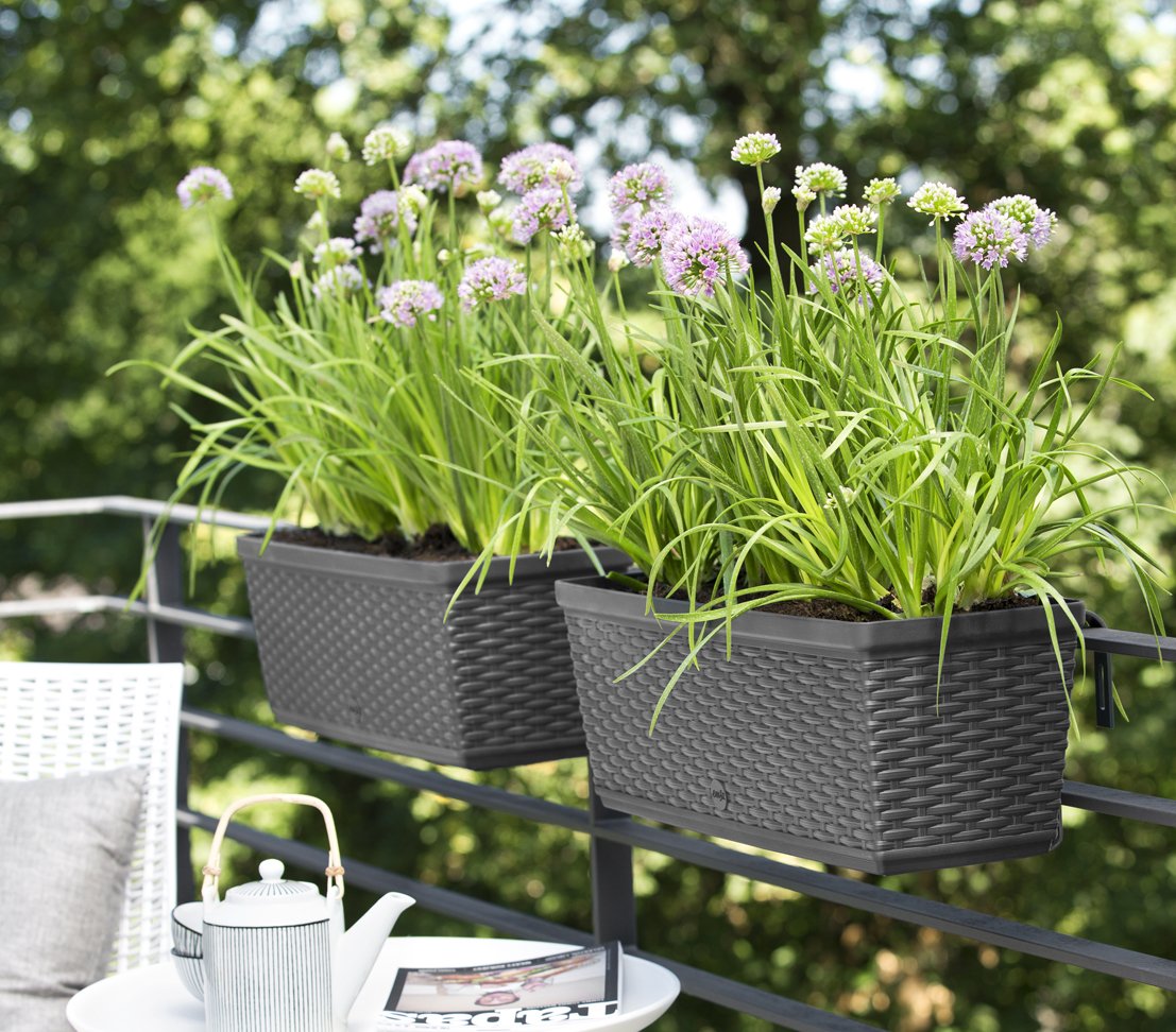 Dehner Casa Mesh Blumenkasten 75x20x18cm anthrazit Rattan