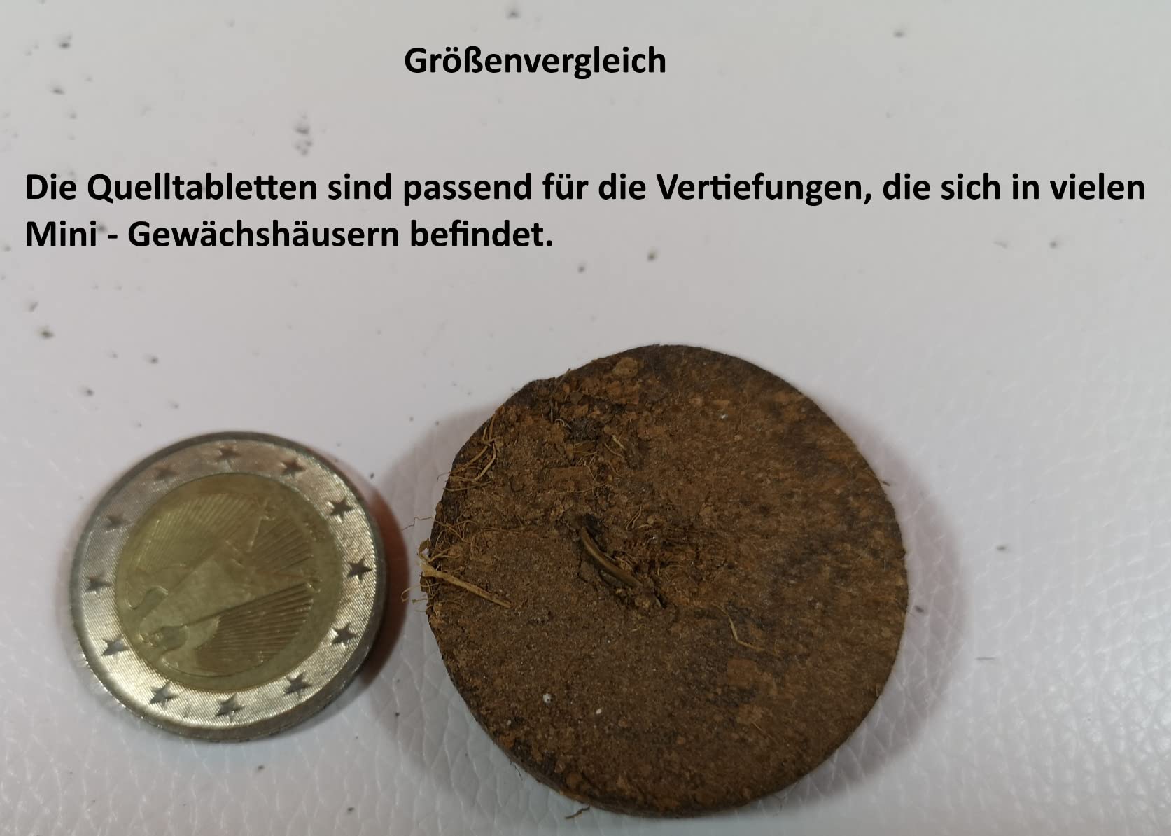Dehner Kokos-Quelltabletten 38 mm 50 Stück