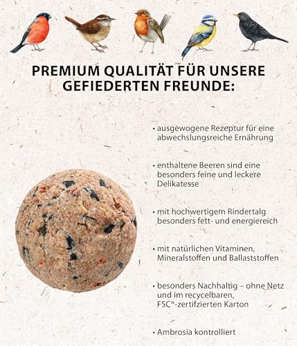 Dehner Natura Meisenknödel ohne Netz Beeren Wildvogelfutter 100x90g