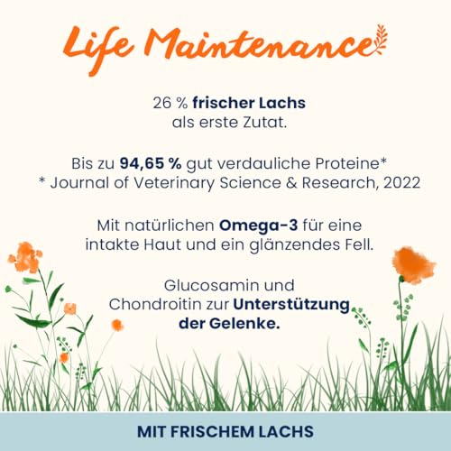 Almo Nature Life Maintenance L Trockenfutter Lachs 12 kg