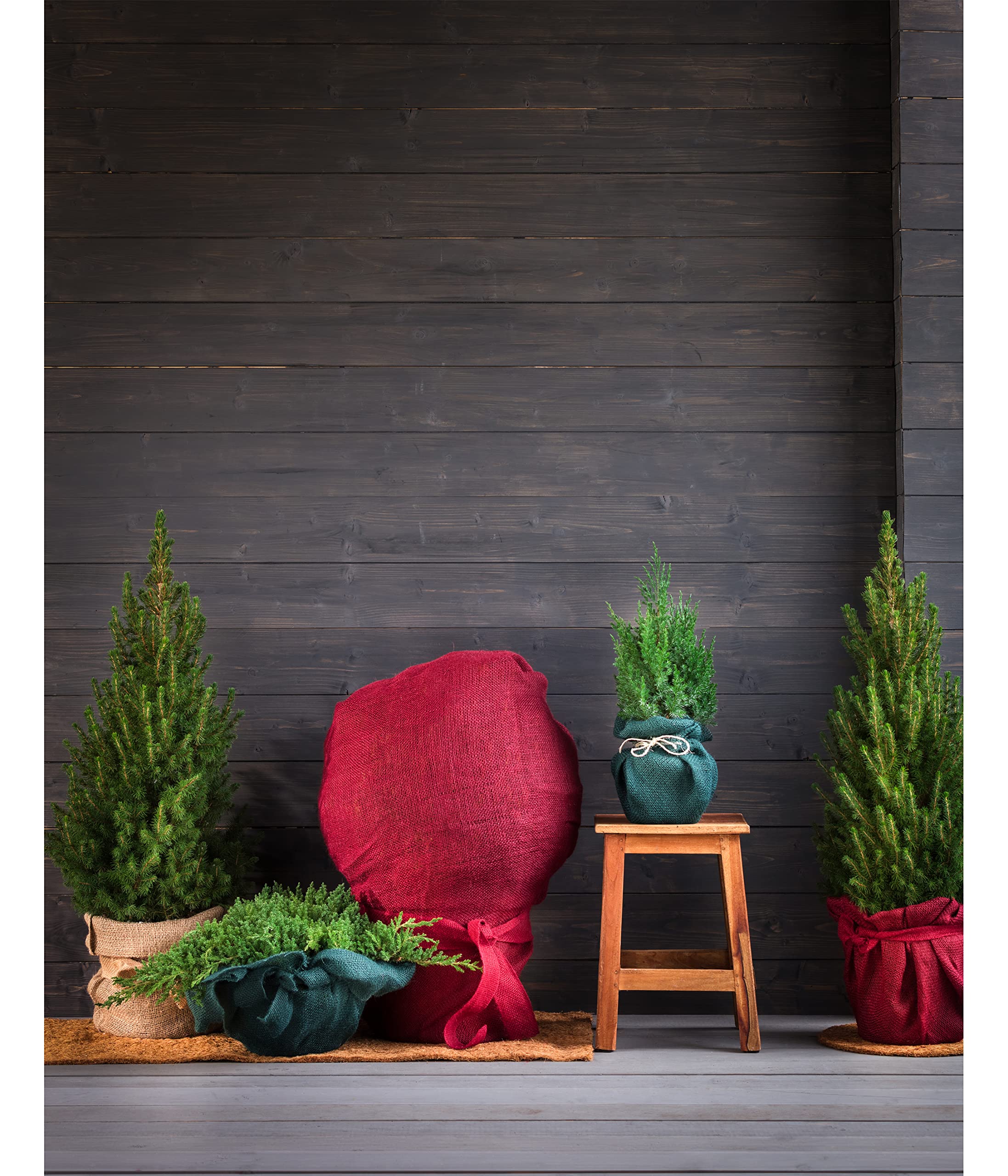 Dehner Winterschutz-Matte Kokos 150x50 cm braun