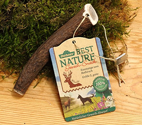 Dehner Best Nature Rothirsch-Geweih Hundesnack 100 g S geruchsarm
