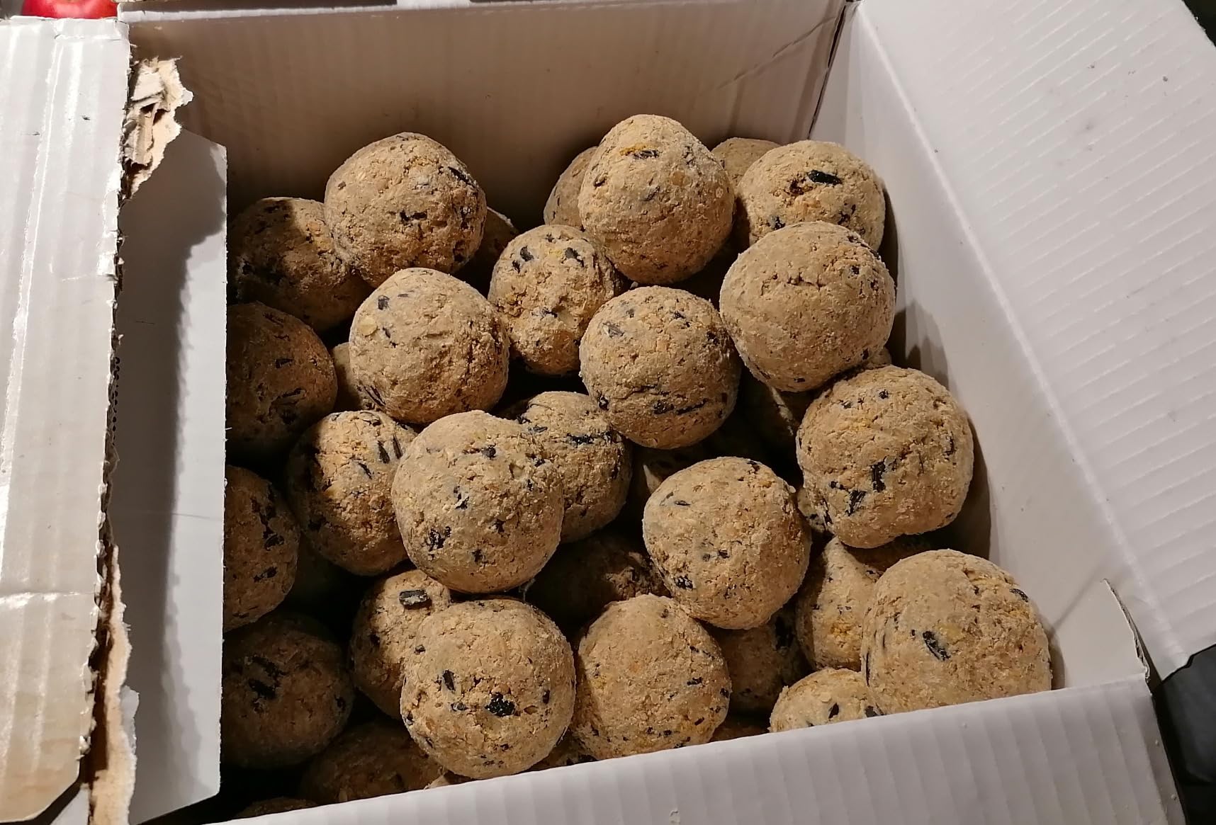 Dehner Natura Meisenknödel ohne Netz Insekten 100x90g proteinreich