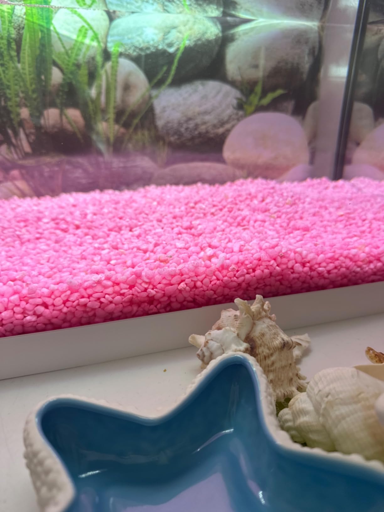 Dehner Aqua Aquarienkies 4-6 mm pastellgrün 5 kg