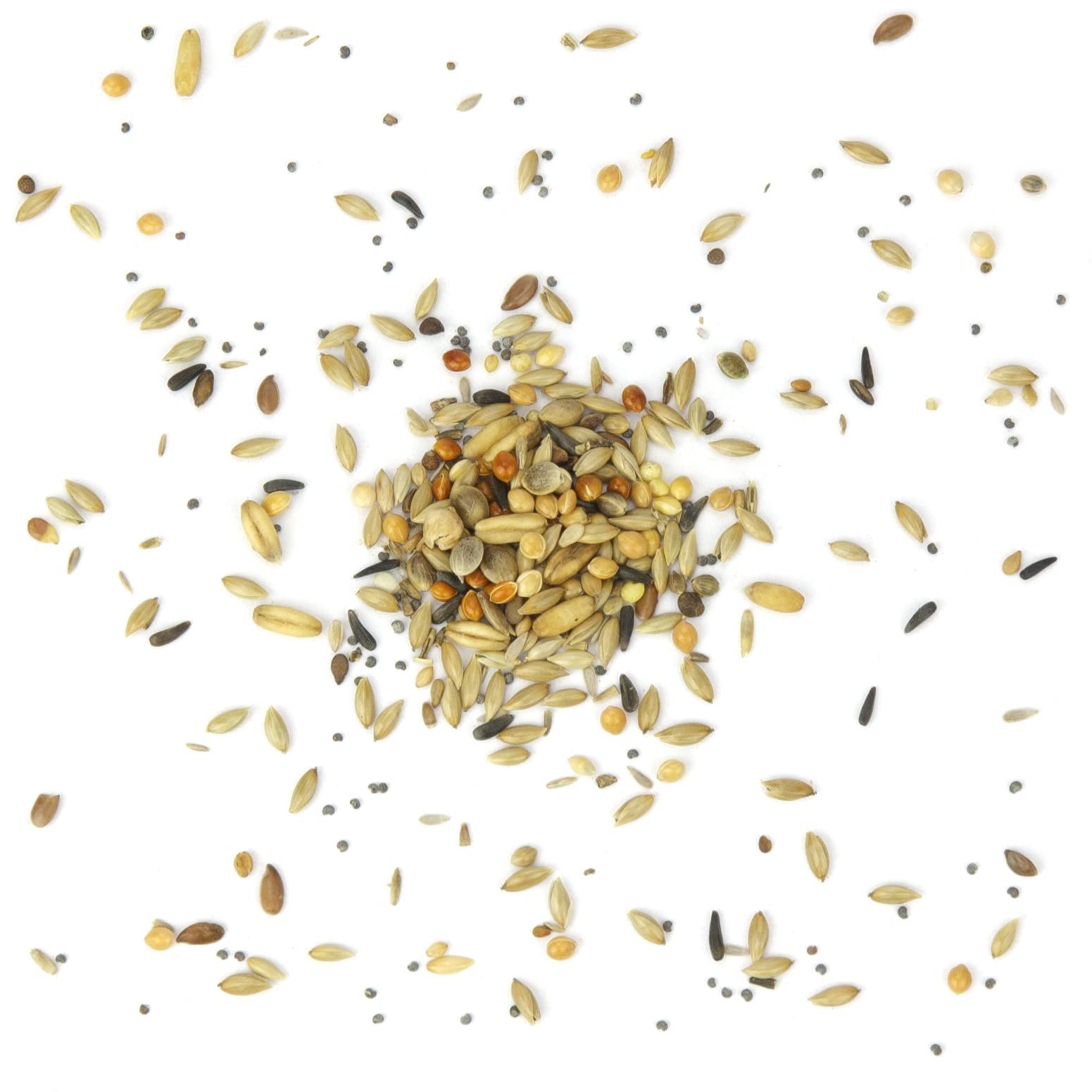Mr. Crumble Kanarien-Fit Kanarienfutter 2,5kg ohne Rübsen