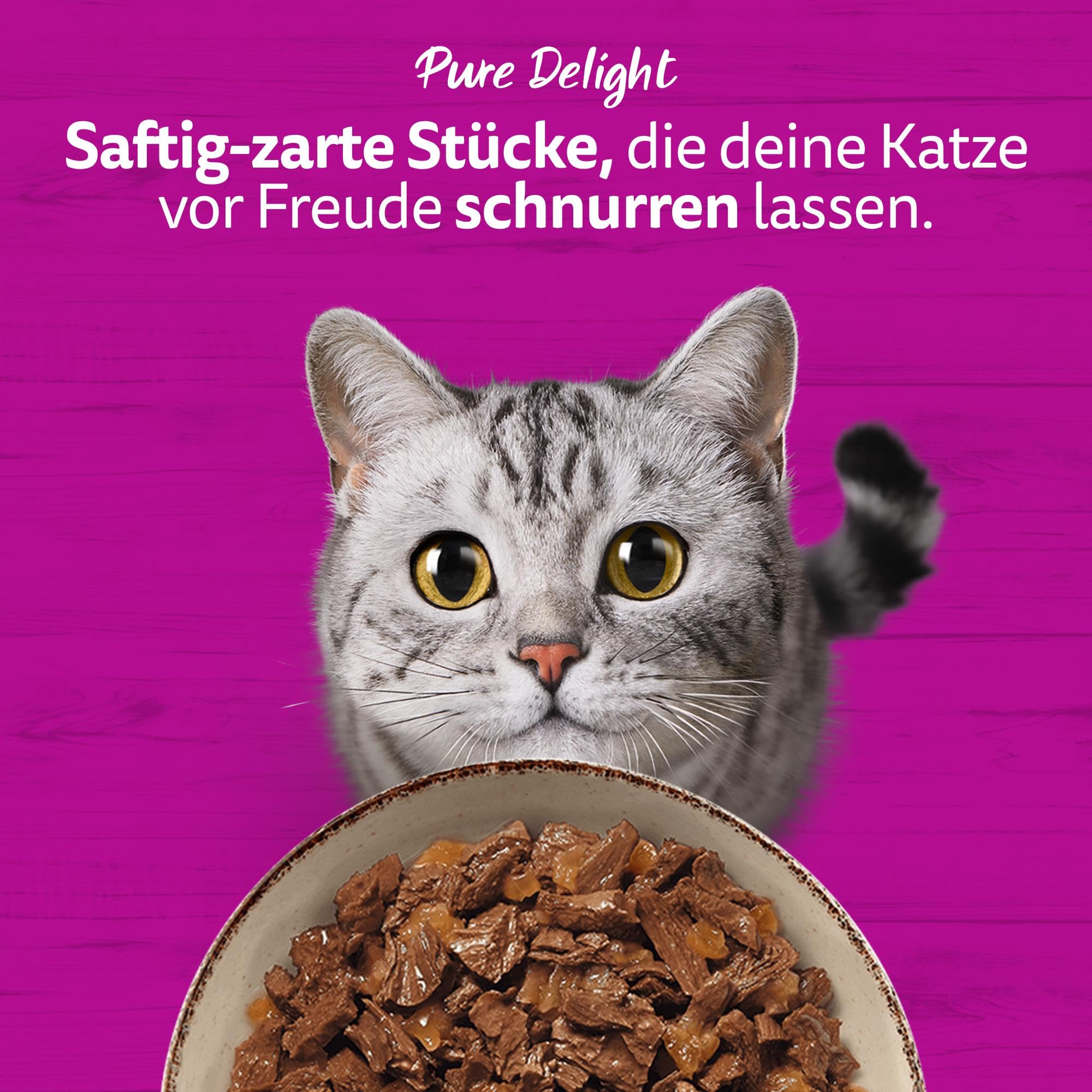 Whiskas Pure Delight Nassfutter Gelee Klassisches Ragout 12x85g