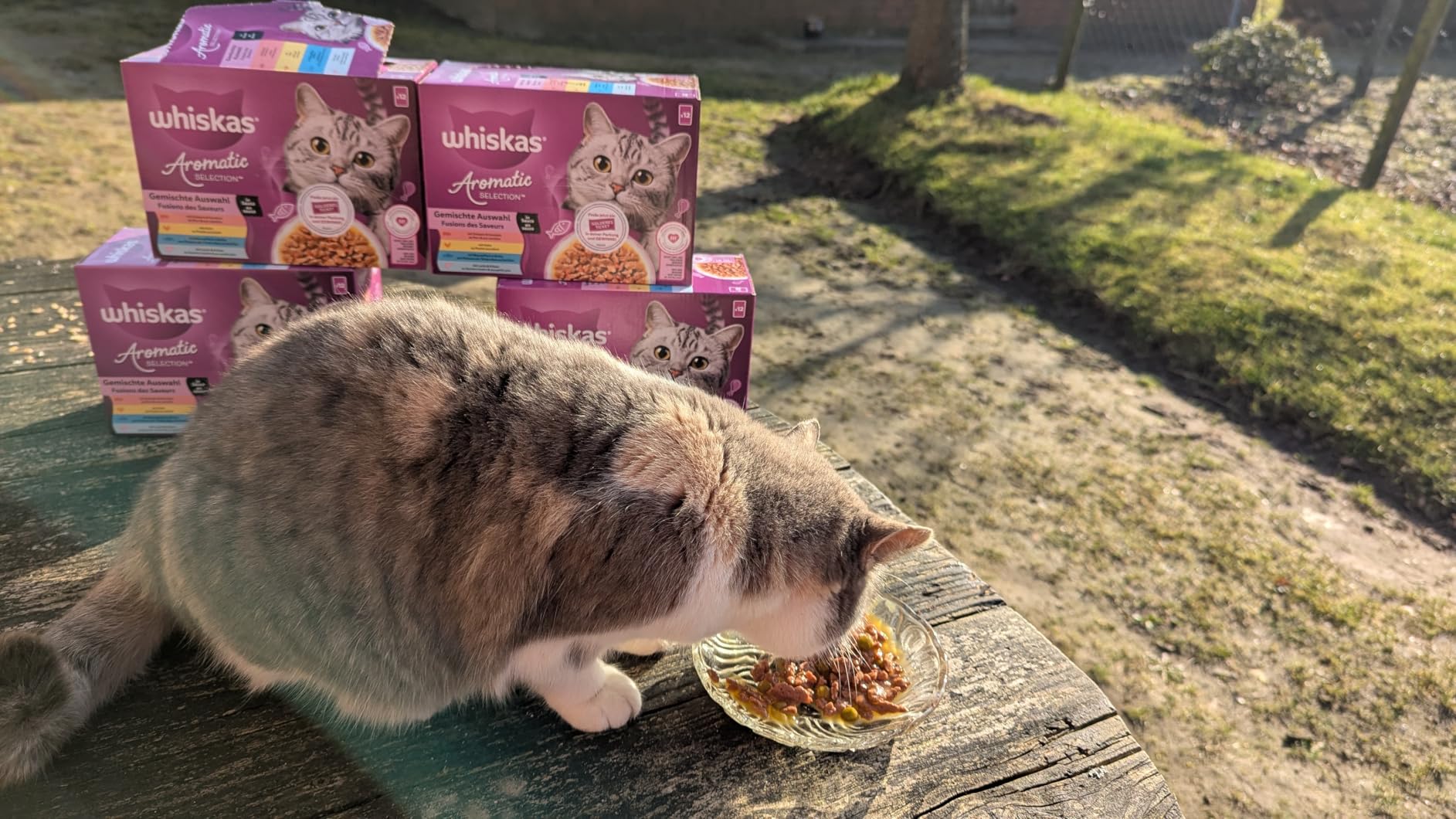Whiskas Aromatic Gemischte Auswahl Nassfutter 48x85g Sauce