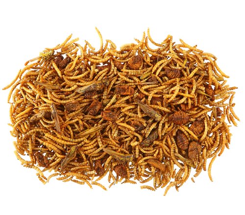 Dehner Best Nature Nagersnack Insekten-Mix 3x60 g