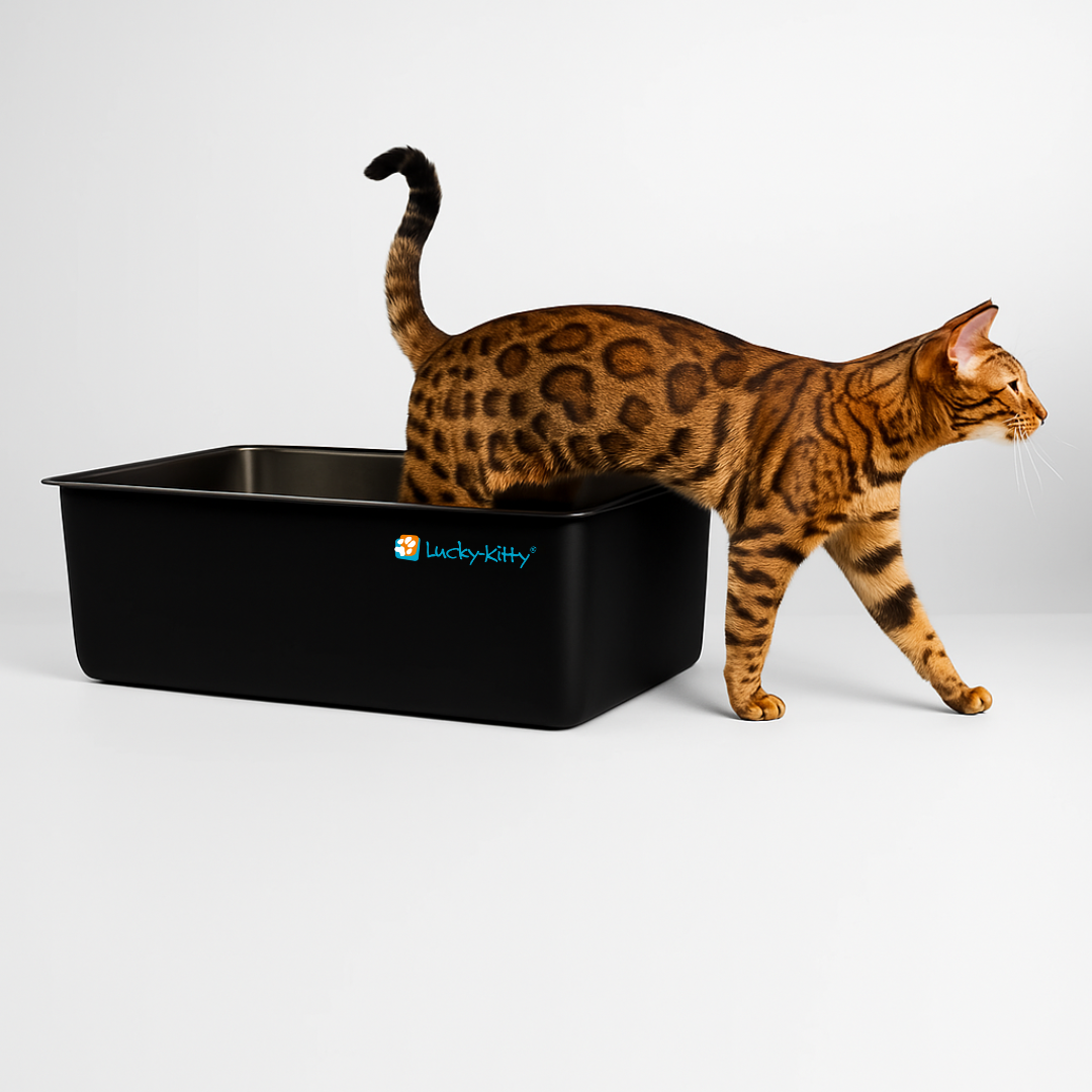 Lucky-Kitty Katzentoilette XXL Edelstahl mattiert 50L Antihaft