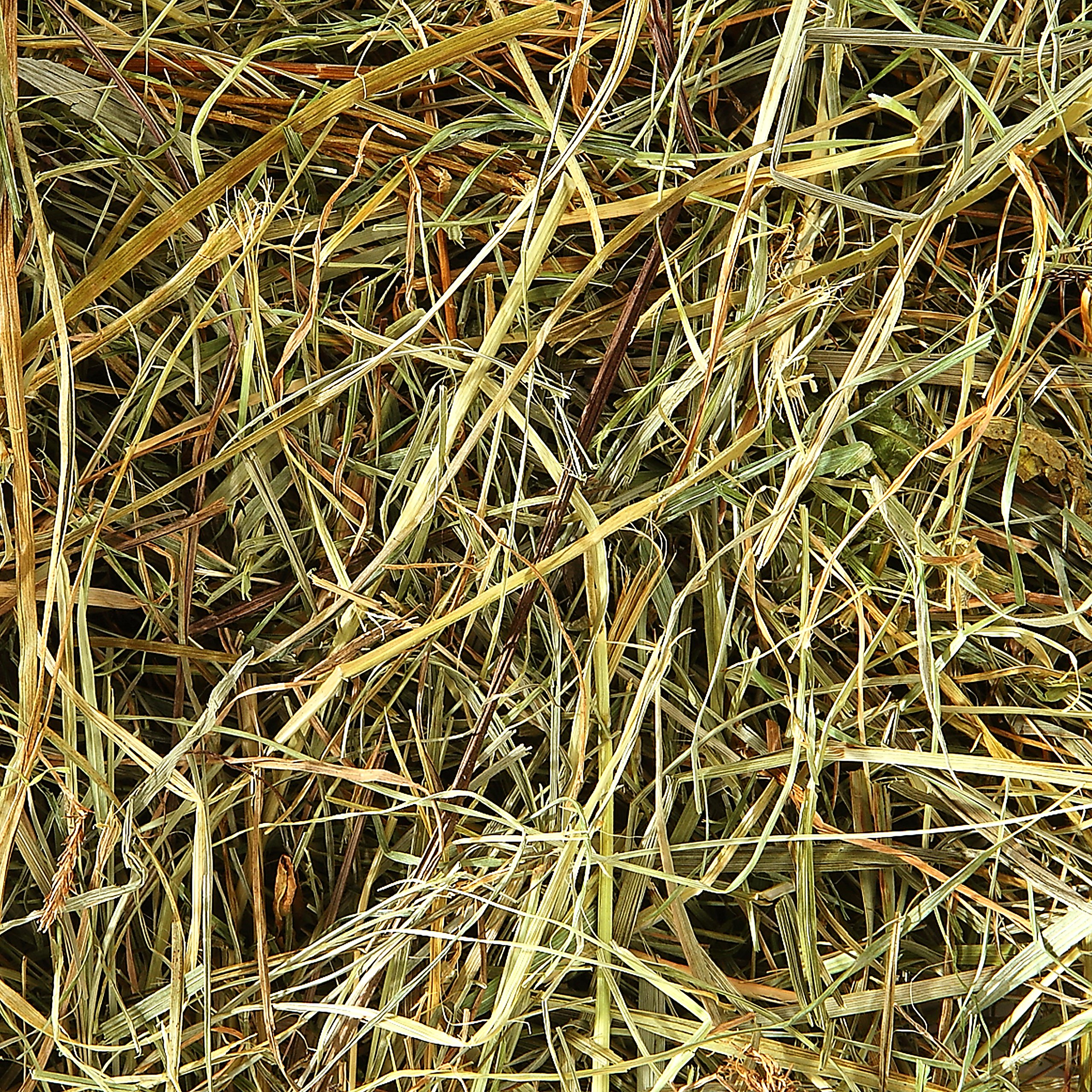 Dehner Bio Bergwiesenheu Nagerfutter 3x1,25 kg