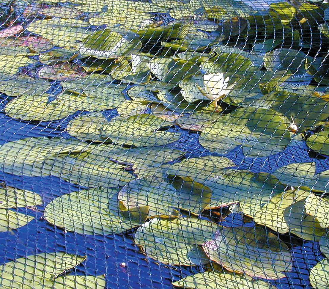 Dehner Teich Laubschutznetz 6x4m grün 20mm