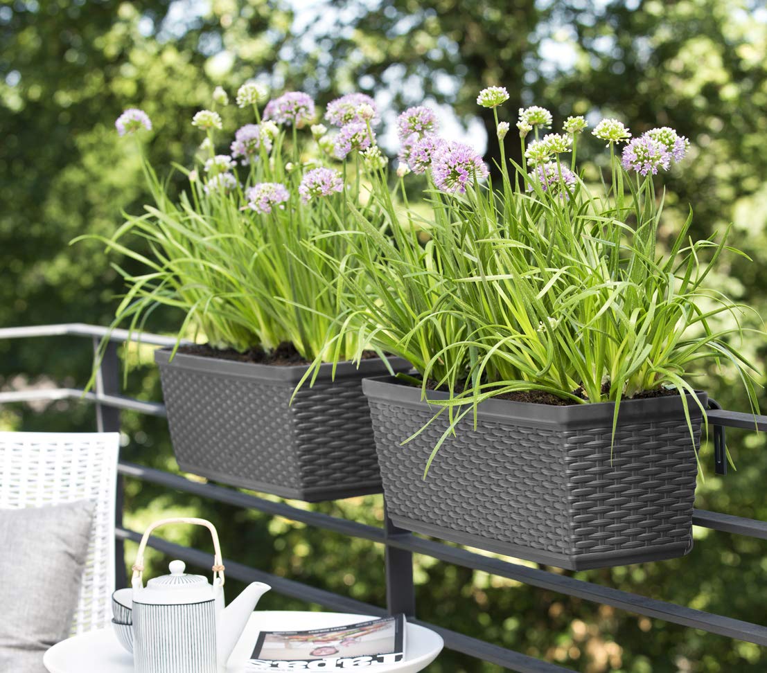 Dehner Casa Mesh Blumenkasten 75x20x18cm anthrazit Rattan
