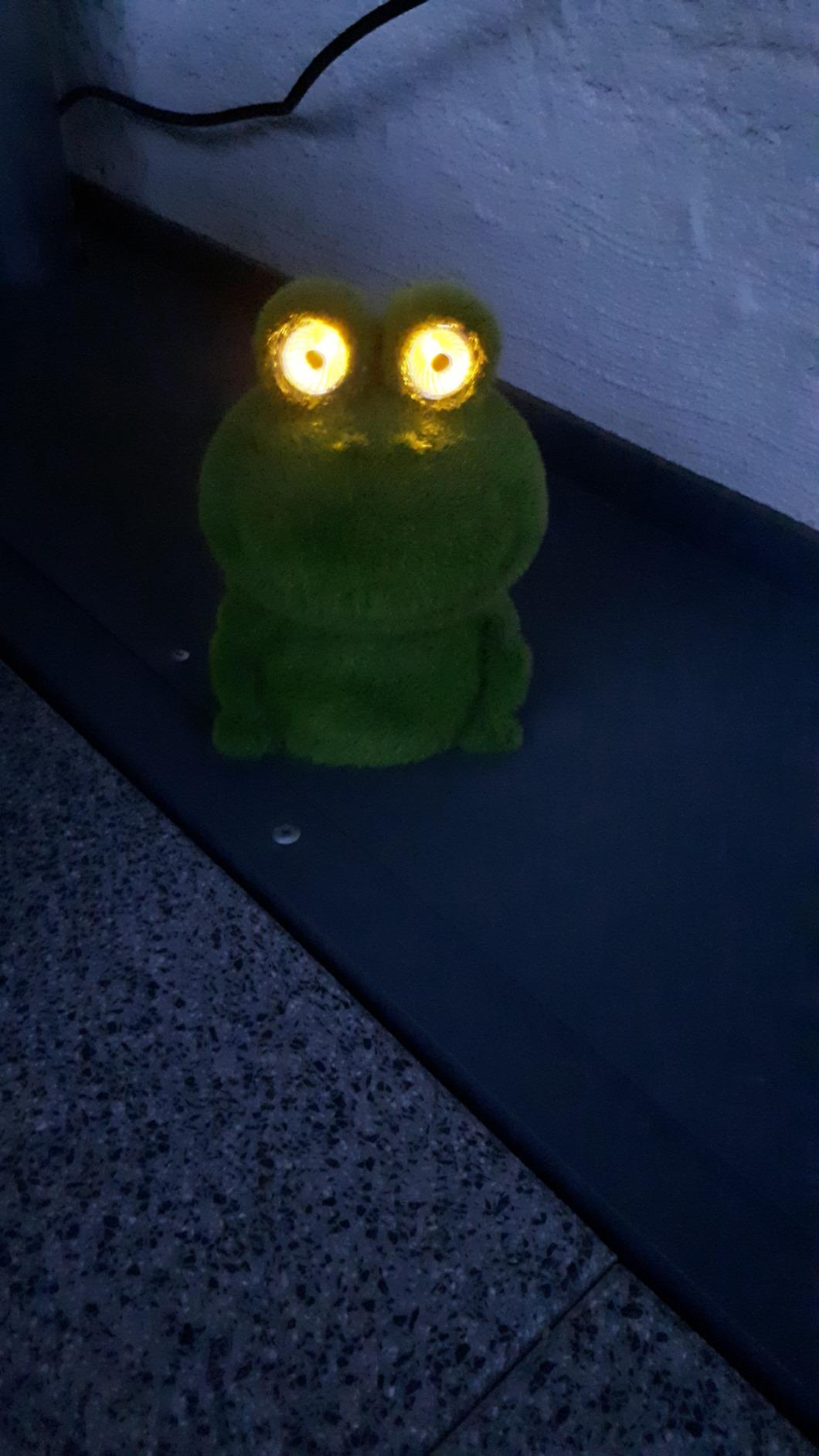 Dehner Premium Lovely Frosch Solarleuchte beflockt grün