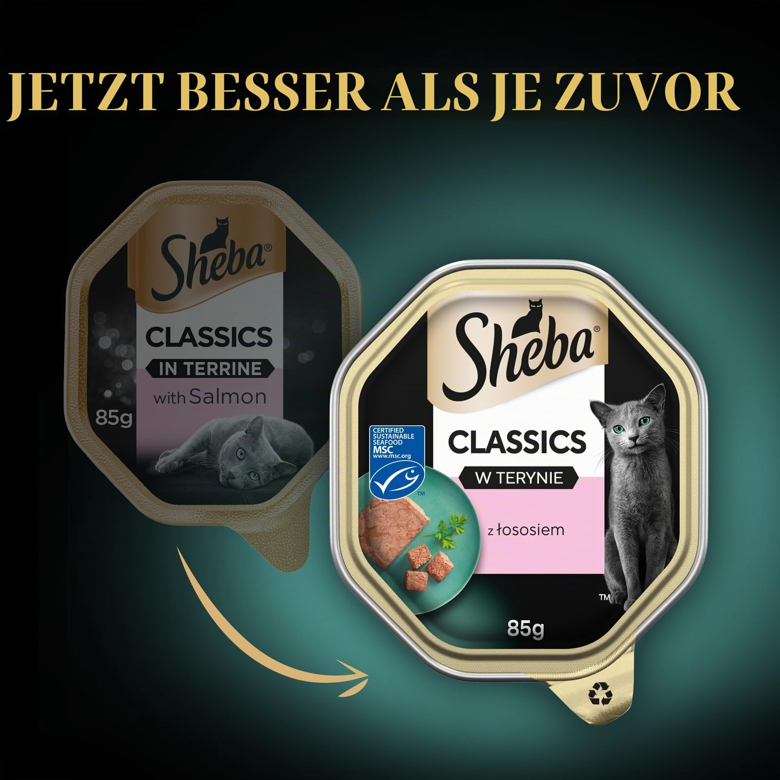 Sheba Classics Pastete Nassfutter Lachs 11x85g