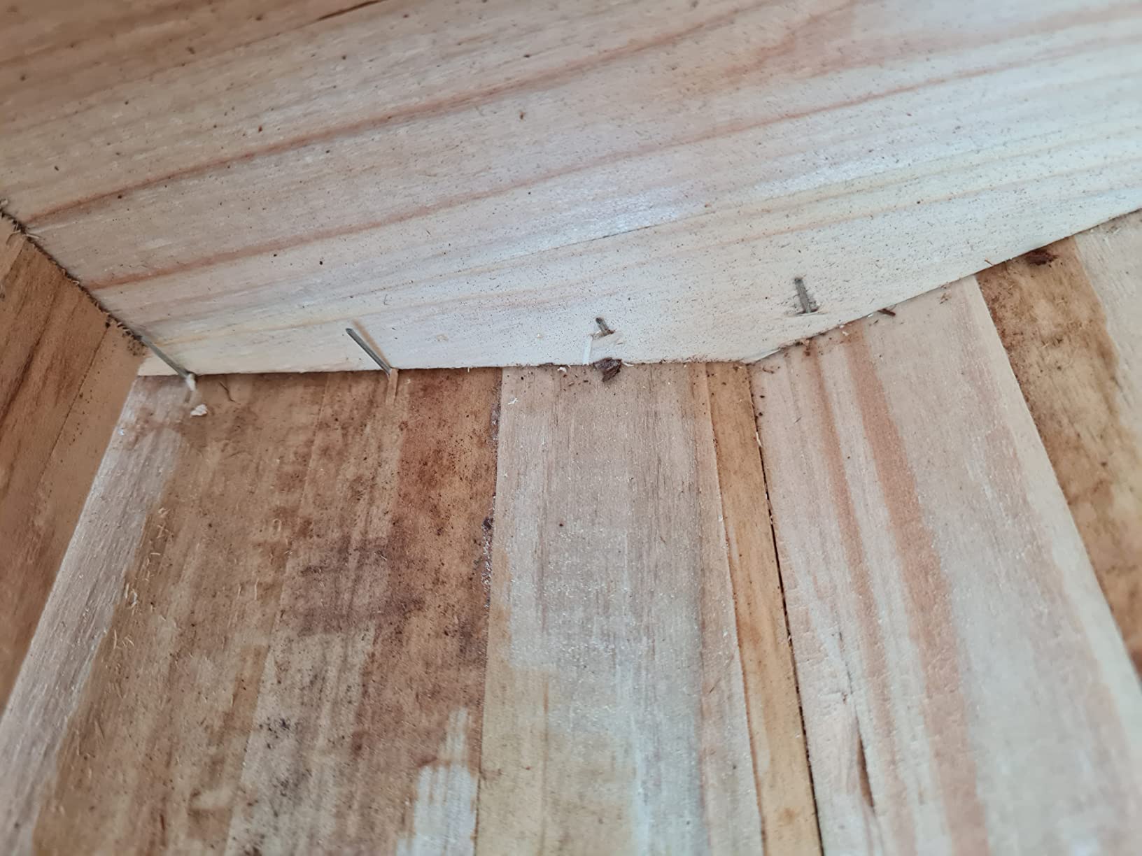 Dehner Premium Lovely Forest Nagerschlafhaus Holz 26x19,5x16cm
