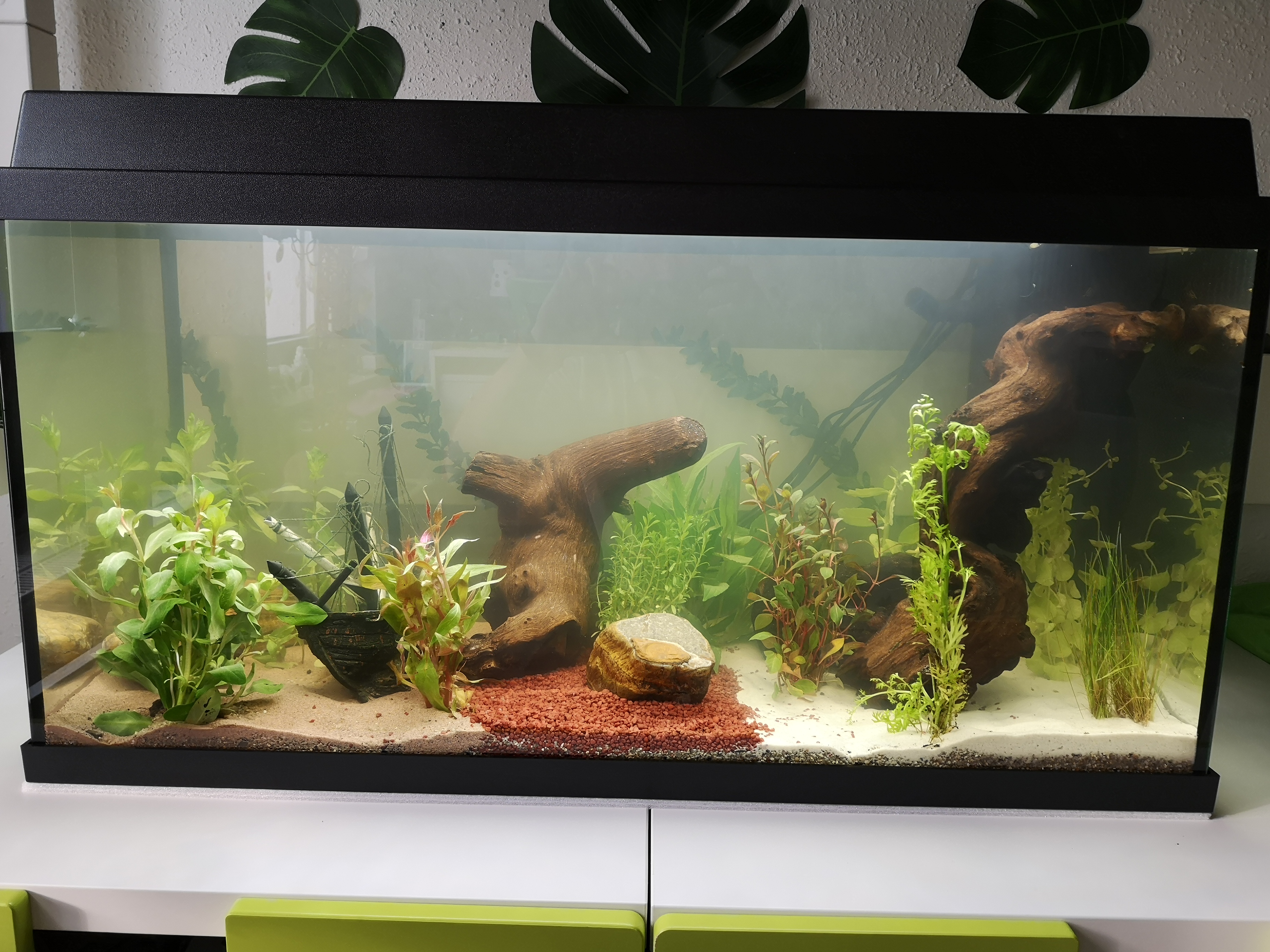 Dehner Aqua Start 80 Aquarium Starterset 110 L LED Komplett
