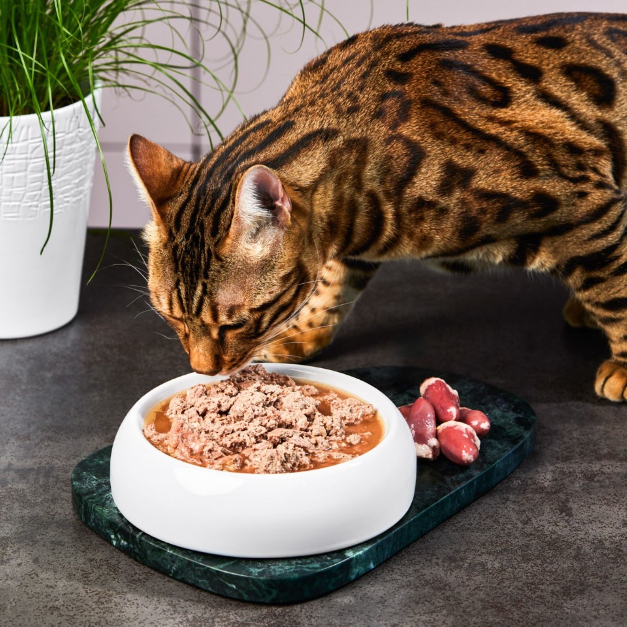 Lucky-Kitty Hühnerherzen Nassfutter 200g monoprotein
