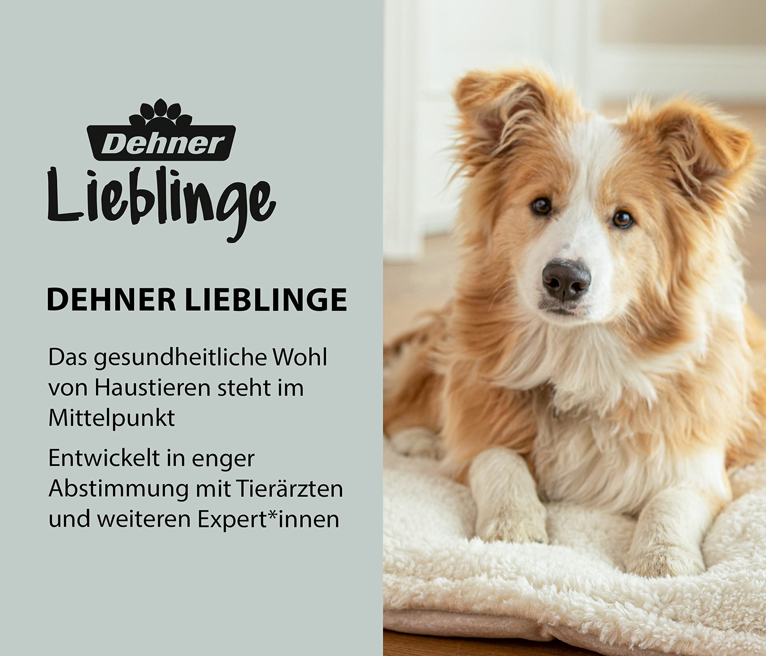 Dehner Lieblinge Dose Dolomit Leckerlidose Keramik weiß 20 cm