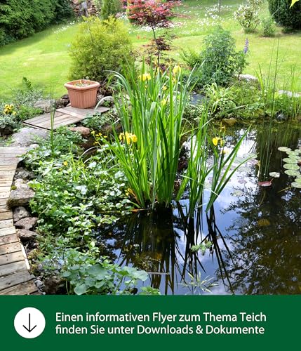 Dehner Aqua Teichfischsnack Seidenraupen Fischfutter 300g proteinreich