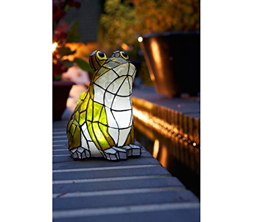 Dehner Solarleuchte Frosch 17 cm Polyresin LED