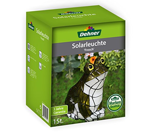 Dehner Solarleuchte Frosch 17 cm Polyresin LED