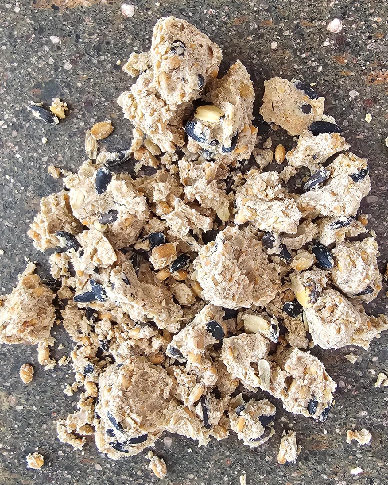 Dehner Natura Meisenknödel ohne Netz Insekten 100x90g proteinreich