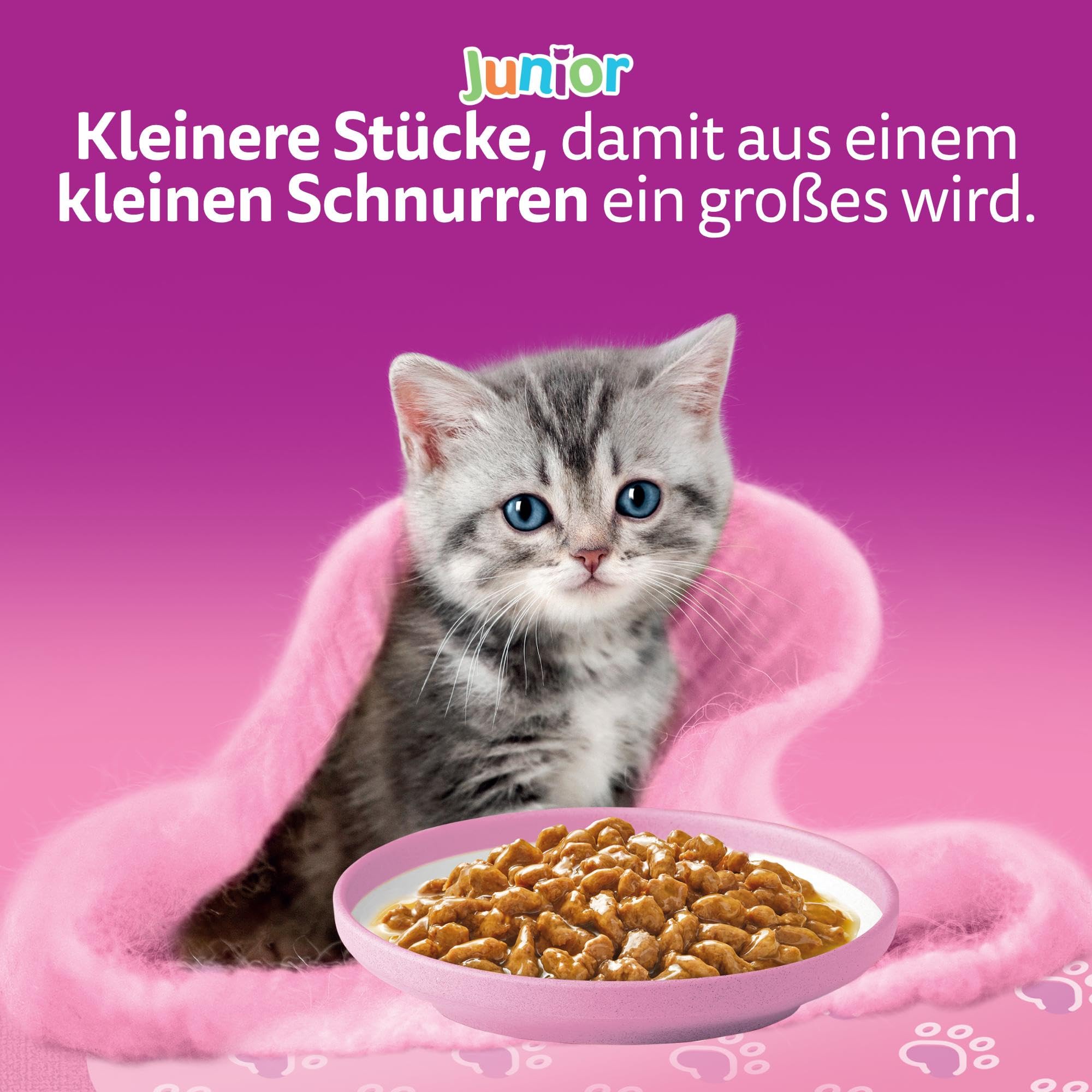 Whiskas Junior Nassfutter in Sauce Klassische Auswahl 84x85g